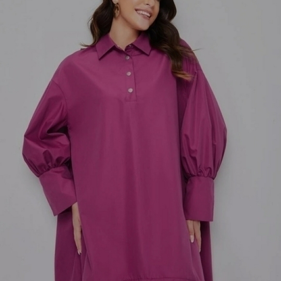 Shein Lantern Sleeve Asymmetrical Ruffle Hem Half Button Placket Dress - Picture 3 of 14